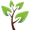 TZ Landscaping