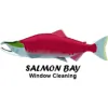 Salmon Bay Window Cleaning