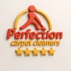 Perfection Carpet Cleaners