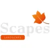 Scapes