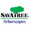 Arborscapes Tree Landscape Service