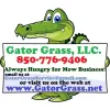Gator Grass