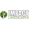 Impact Landscapes