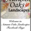 Autumn Oaks Landscapes
