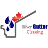 Silver Gutter Cleaning