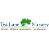 Tea Lane Nursery