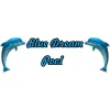 Blue Dream Pool