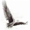 Nest Construction Services