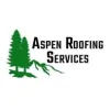 Aspen Roofing