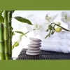 Elements Cleaning Concepts