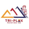 Tri-Plex Painting
