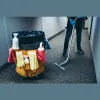 Honor Carpet Cleaning
