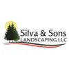 Silva & Sons Landscaping