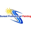 Sunset Pro Paint