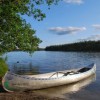 Restoration Services of Michigan