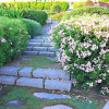 Ferrante Brothers Landscaping