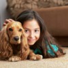 Best Deal Steam Carpet Cleaning of Katy