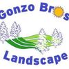 Gonzo Bros Landscape