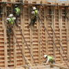 M&N Professional Concrete Contractors, Inc