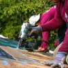 Shield Roofing VA
