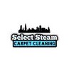 Select Steam Carpet