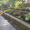 Prestige Landscape