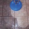Mighty Clean Carpet & Tile Cleaning