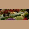 Ambience Garden Design