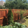Fence Staining