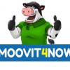 Moovit4Now