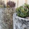 Decoland Landscape & Construction Design