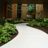 American Modern Landscape