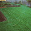Royal Green Landscaping