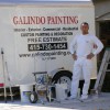 Galindo Painting
