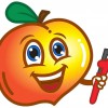 Peach Plumbing & Drain