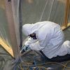 Flood and Mold NJ