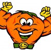 CitruSolution