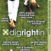 Dig Right In