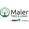 Maier Tree & Lawn