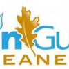 Rain Gutter Cleaners