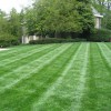 Monaco Landscaping