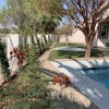 Earthworks Landscaping