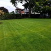 Juniors Landscaping