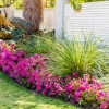 Majestic Landscape Designs