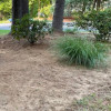 Trancape Your Landscape