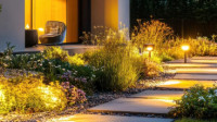Landscape Lighting