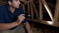 Pre Purchase Termite Inspection