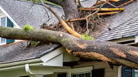 Storm Restoration