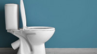 Toilet Repair & Replacement