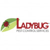 Ladybug Pest Control Services